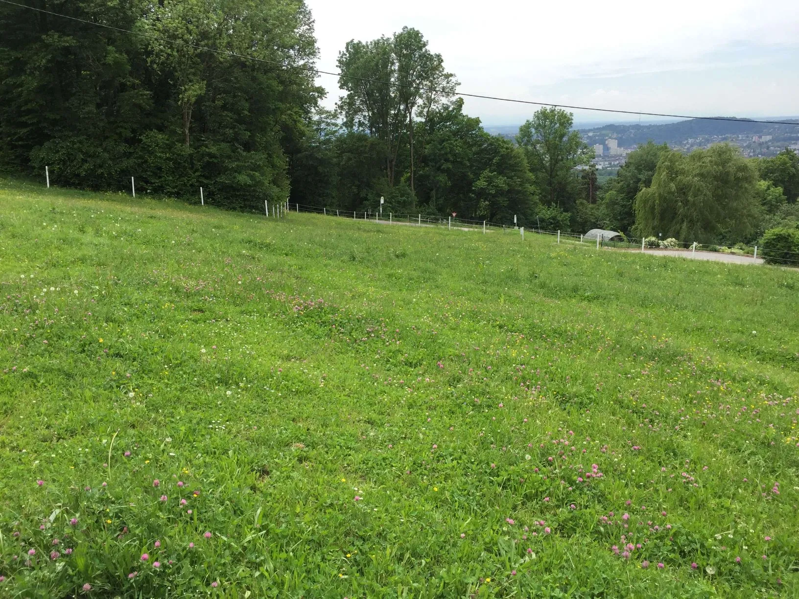 Reitplatz Melferergut vor der Errichtung